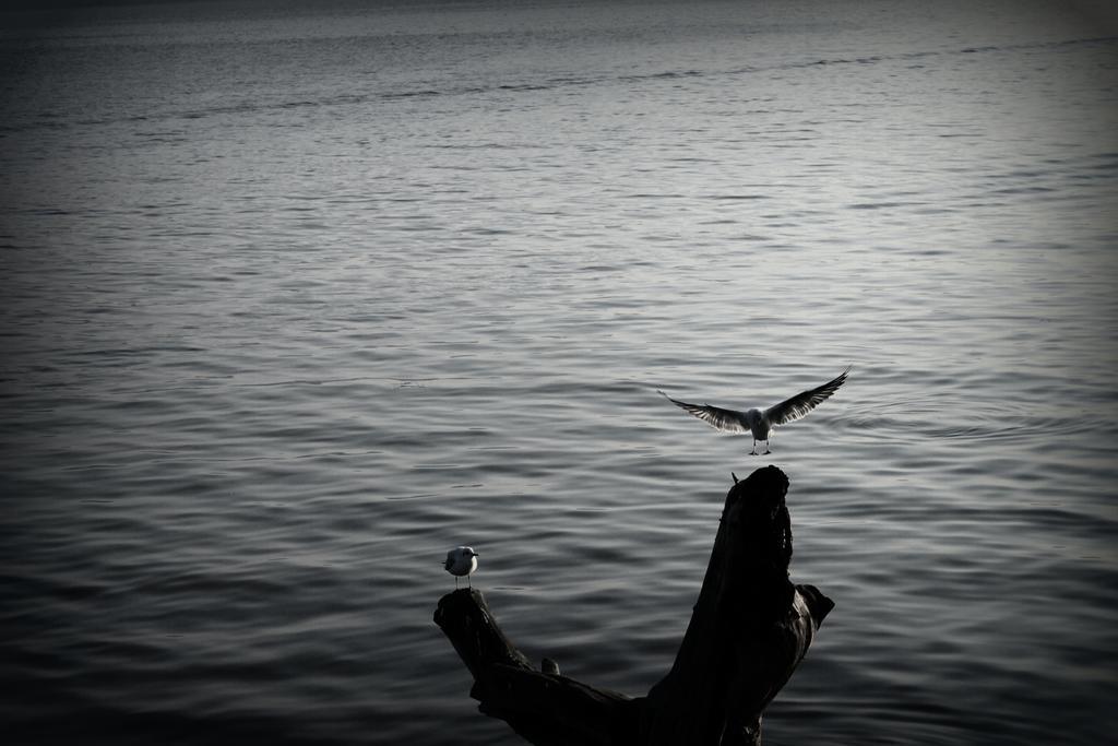 Golyazi Faik Bey Konagi Bed & Breakfast エクステリア 写真